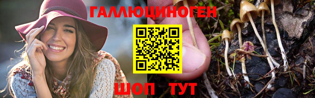 Псилоцибиновые грибы прущие грибы Железноводск