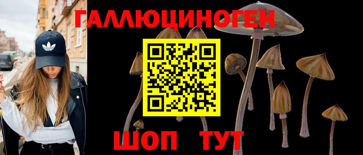 Псилоцибиновые грибы Psilocybe  Вход с VPN  Железноводск 